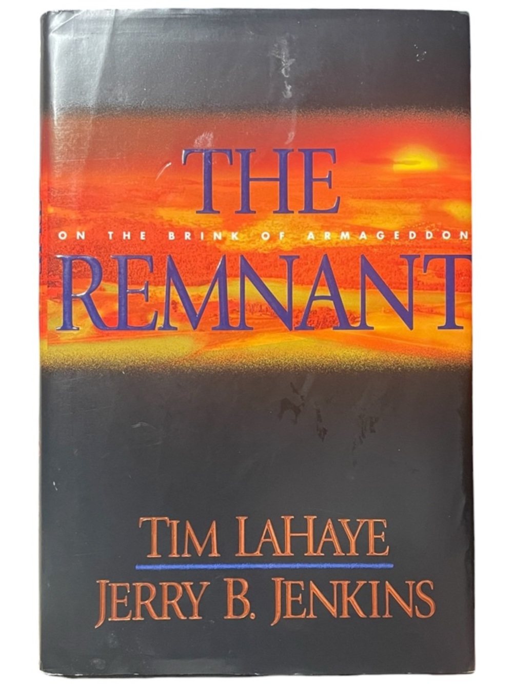 The Remnant By Tim Lahaye & Jerry B. Jenkins